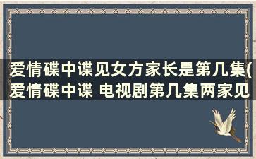 爱情碟中谍见女方家长是第几集(爱情碟中谍 电视剧第几集两家见面)